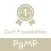 PMI-PgMP Test Prep