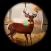 Deer Hunter Animal Simulator