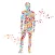 My Health Portal