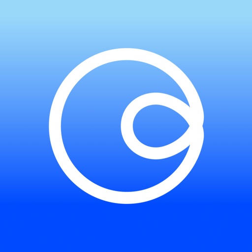 Chance AI: Search by Seeing