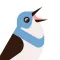 Birds by Fieldguide
