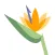 Plants by Fieldguide
