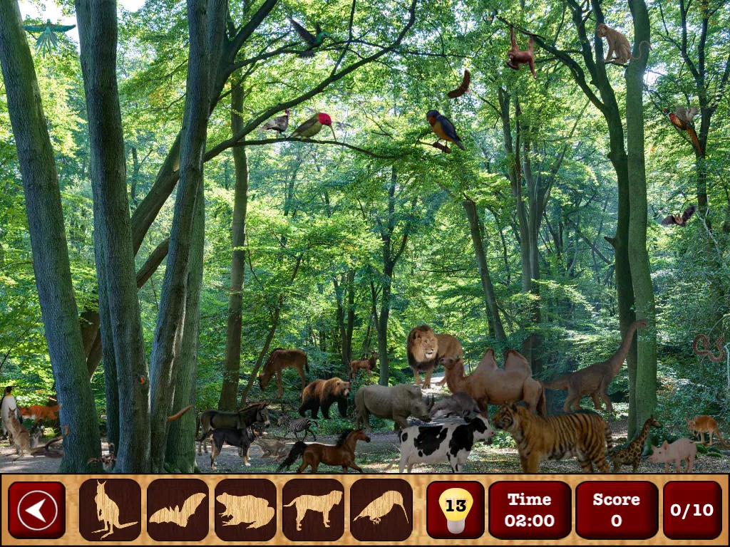 Captures d'écran de Hidden Objects : The Finding Object Game iPad