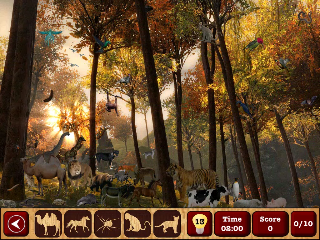 Captures d'écran de Hidden Objects : The Finding Object Game iPad