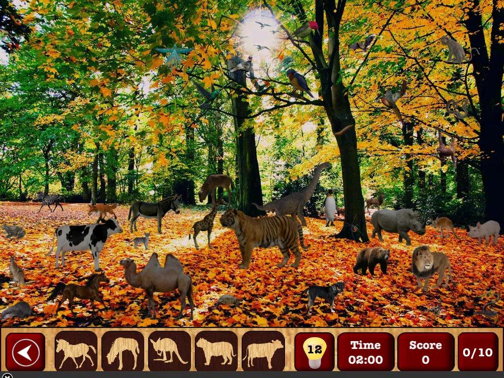 Captures d'écran de Hidden Objects : The Finding Object Game iPad