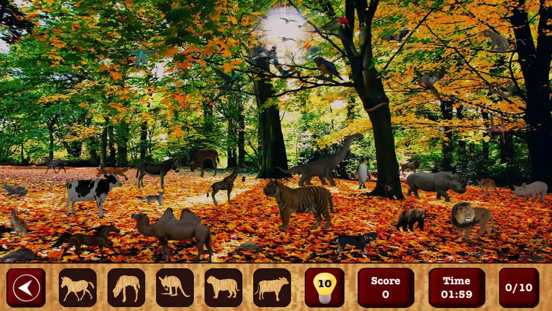 Captures d'écran de Hidden Objects : The Finding Object Game