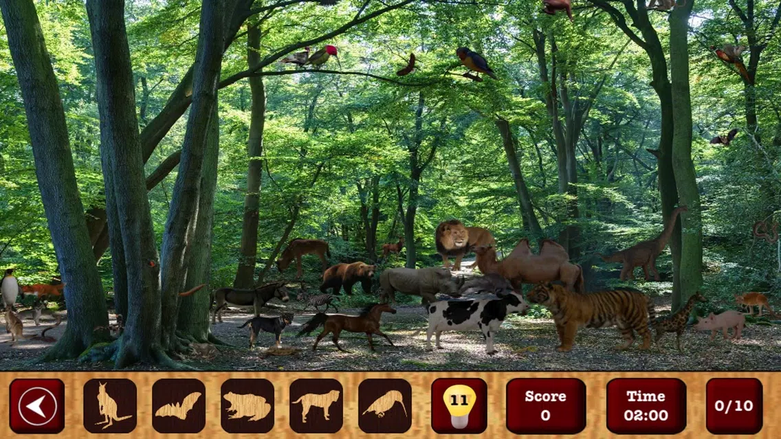 Captures d'écran de Hidden Objects : The Finding Object Game