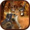 Animal Safari 2015 : The Hunting Game