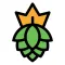 Charlotte Beer Collective