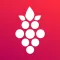 Winify: Write Food, find Wine