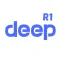 Deep AI seeks anything