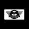 Chauffeurs Executive Driver