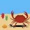 Crab - Survival on the beach