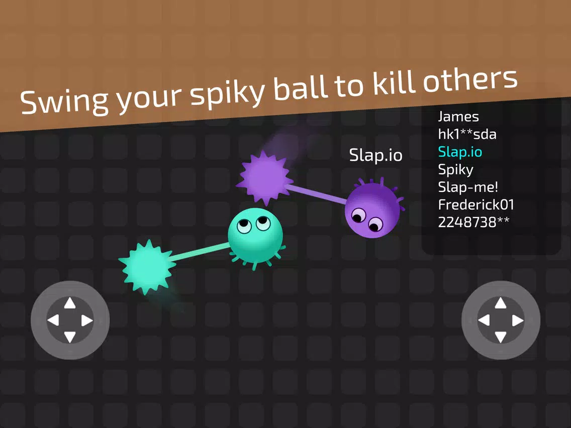 Скриншоты zlap.io offline iPad 