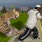 angry cheetah ready to destroy town