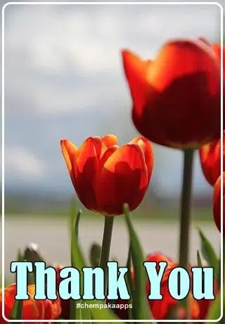 Thank You Images Screenshots
