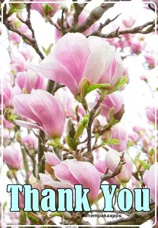 Thank You Images Screenshots