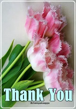 Thank You Images Screenshots
