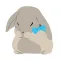 WhosDue