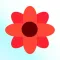 Flower Store 3D