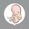 My Baby's Journey