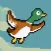 Dack Hunt