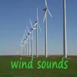 Wind Sounds Wind Sounds