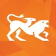 POS Insights