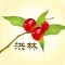 洪林大蜜枣