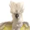 Cockatoo With Attitude
