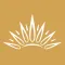 Miss Supranational