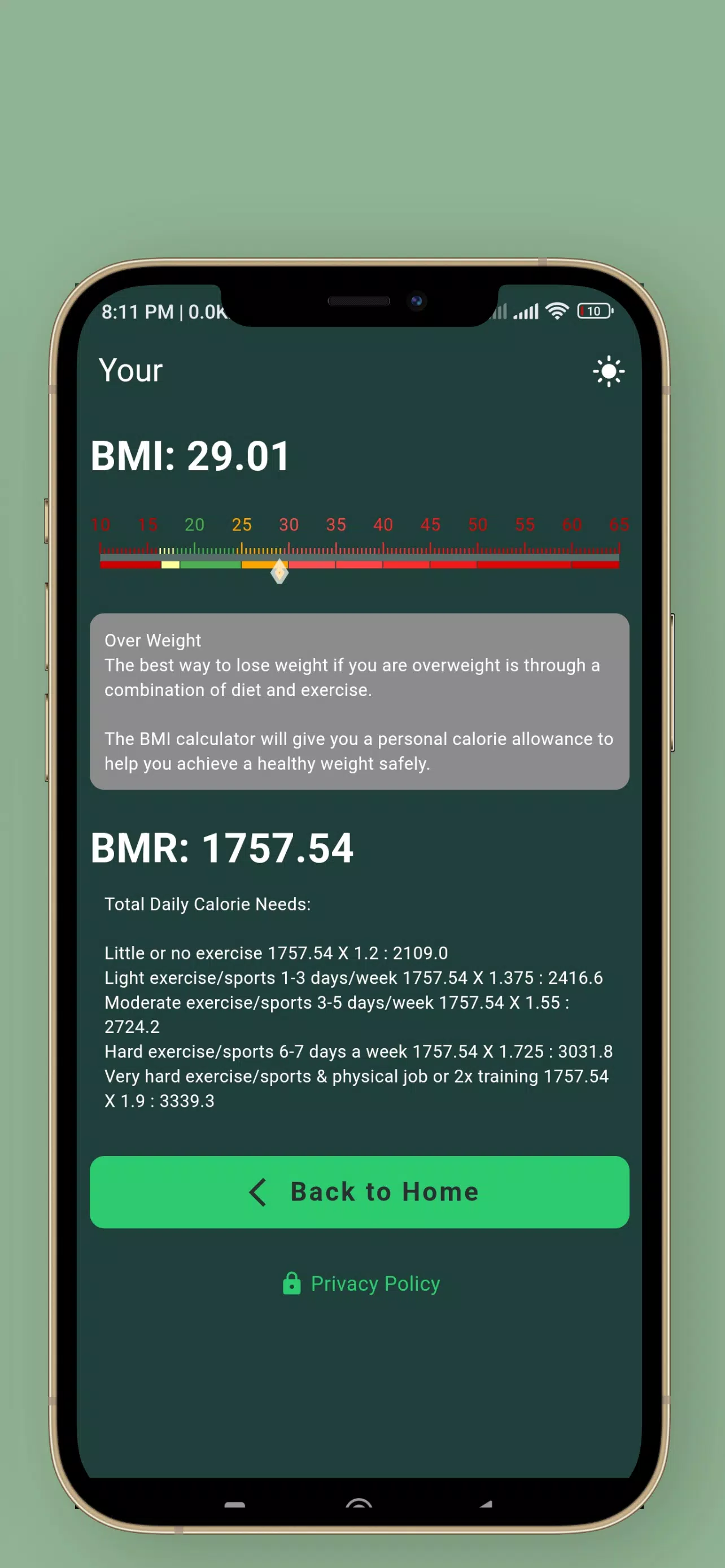 BMI and BMR Calculator Screenshots