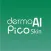 DermoPico Skin New