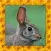 Wild Rabbit Simulator 3D