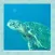 Sea Turtle Simulator 3D