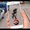 Pocket Dogs GO AR
