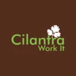 Cilantra Work It