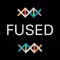 Fused - Brain Game