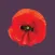 14-18 : War, Armes, Peace.
