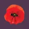 14-18 : War, Armes, Peace.