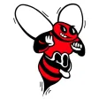 Baldwinsville CSD Tip
