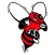 Baldwinsville CSD Tip