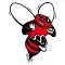 Baldwinsville CSD Tip