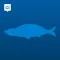 Urk App