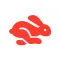 Rabbit - PiP Video Browser