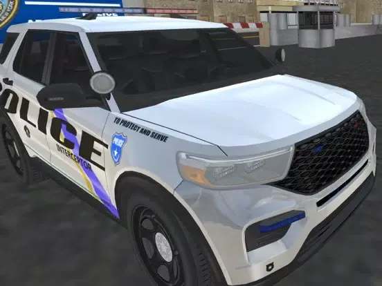 American Police Car Driving iPad Screenshots