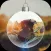 PipCameraEditor+