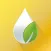 Essential Oils Young Living