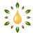 Ref Guide for Young Living EO