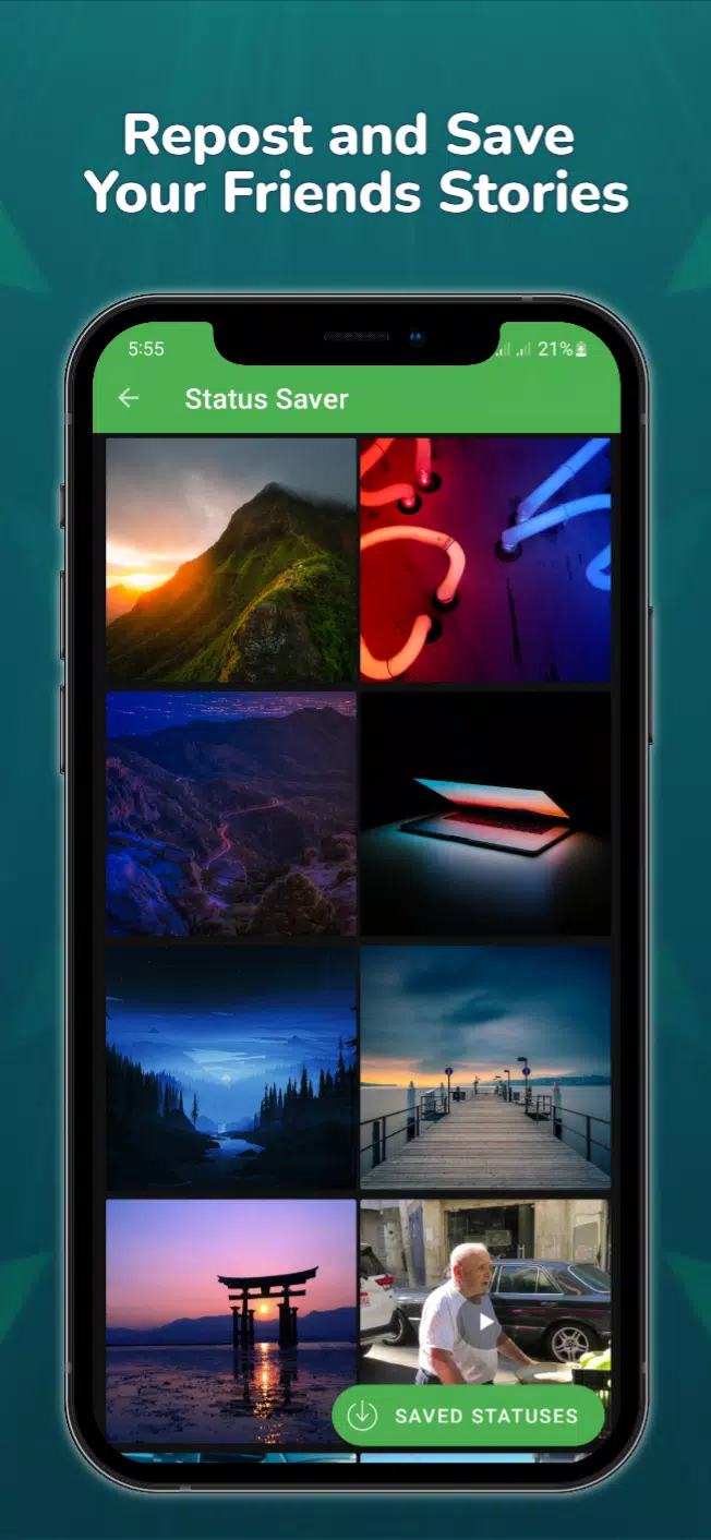WebScanner Screenshots